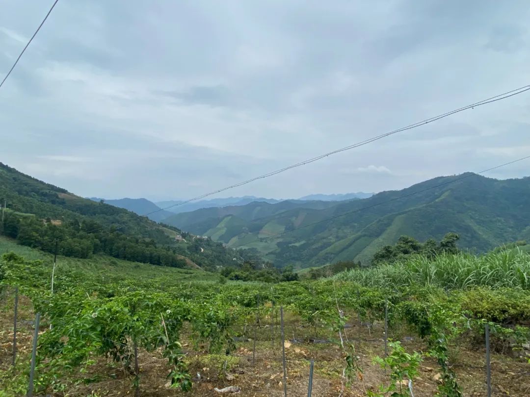 微信圖片_20220908174705 微信圖片_20220908174705